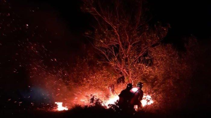 Karhutla di Teluk Sampit muncul di pinggir Jalan arah Samuda-Kuala Pembuang memunculkan asap tebal sehigga rawan bagi pengendara yang melintas.