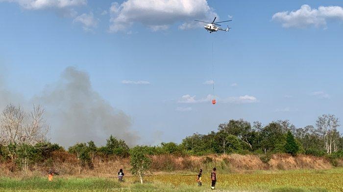 Kawasan rawa Telawang Kelurahan Kalampangan Palangkaraya terbakar, pemadaman dilakukan gunakan Helikopter Water Bombing lepas 4000 liter air dari udara.