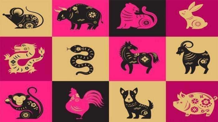 Ilustrasi Ramalan Shio.