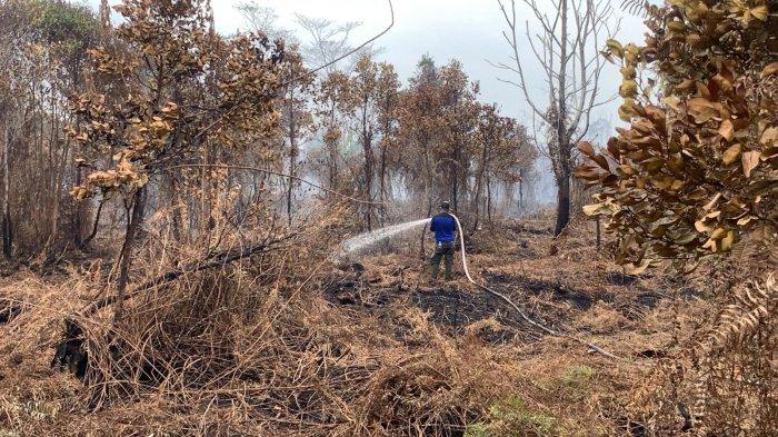 anggota tim satgas gabungan masih berusaha memadamkan api di Jalan Karya Hapakat Palangkaraya walaupun sudah tampak padam, namun di bawah lahan gambut masih terbakar, Selasa (22/8/2023).
