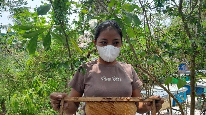 Pengelola budidaya Borneo Mallifera Elisabeth Feby Melianasari, saat ditemui di Kelurahan Kalampangan, Kecamatan Sabangau Palangkaraya,Rabu (6/9/2023).