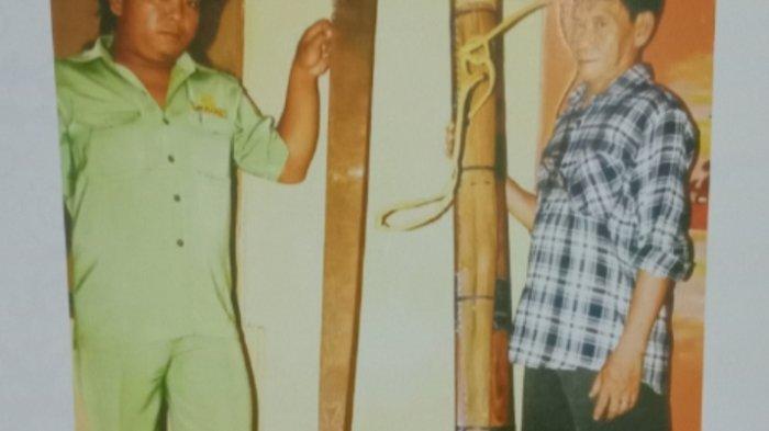 Foto senjata tradisonal, Mandau Raksasa dan Kumpangnya. (Repro dari Buku Senjata Tradisonal dan Pakaian Adat Dayak) terbitan Banjarmasinpost.