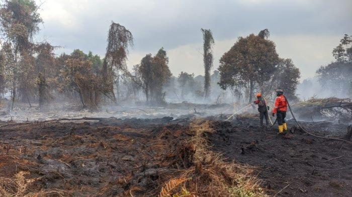 Kebakaran hutan atau Karhutla Kotim masih terus terjadi, meskipun pemadaman darat dan udara terus dilakukan.