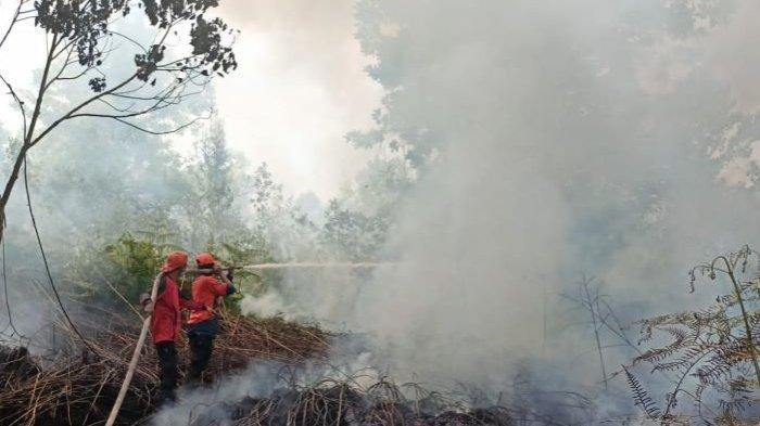 Karhutla di Kotim, terdata sejak Januari-Agustus 2023, sebanyak 321 hektar lahan terbakar, sedangkan Hot Spot capai 1111.