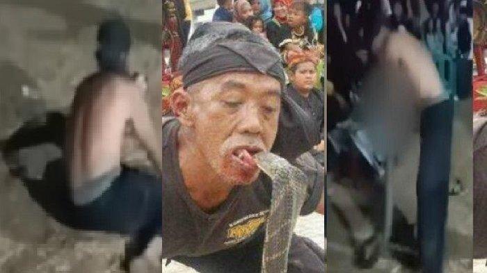 BERITA VIRAL - Pawang Ular Abah Kobra, tewas digigit King Kobra saat atraksi di Hari Merdeka.
