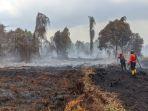 Masa Berlaku Status Tanggap Segera Berakhir, Kasus Karhutla Malah Meningkat di Kotim Kalteng