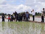 Presiden Jokowi Kunjungi Desa Bapeang, Beri Bantuan Pompa Air Tingkatkan Hasil Panen Petani Kotim