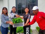 Targetkan Pembagian 20 Ribu Bibit Tanaman Gratis, Distan Kobar Ajak Warga Manfaatkan Pekarangan