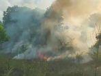 Berita Populer Kalteng, 1 Hektare Lahan Palangkaraya Terbakar dan 4 Kapolres Polda Kalteng Berganti