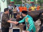 Bupati Halikinnor Terima Bantuan Presiden Sapi Limosin 1.010 Kg dan 150 Ekor dari Pemprov Kalteng