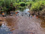 Lokasi Pencarian Mahasiswa ULM di Hutan Kapuas Kalteng, Berupa Lahan Gambut Penuh Semak Belukar