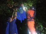Sengat Warga Kalibata Palangkaraya, Team Rescue Damkar Evakuasi Tawon Vespa Bersarang di Pohon