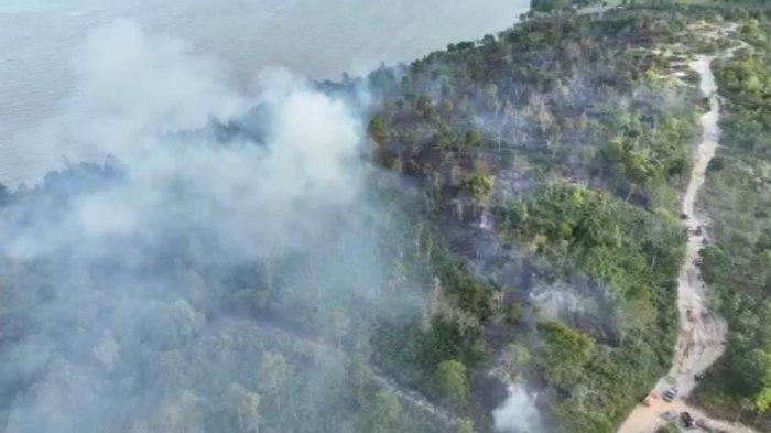 Ilustrasi gumpalan asap putih kebakaran Hutan dan Lahan atau Karhutla.
