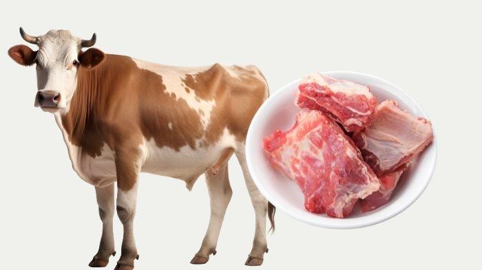 Ilustrasi. Berapa jatah daging kurban untuk orang yang berkurban saat Idul Adha? Ini penjelasannya.