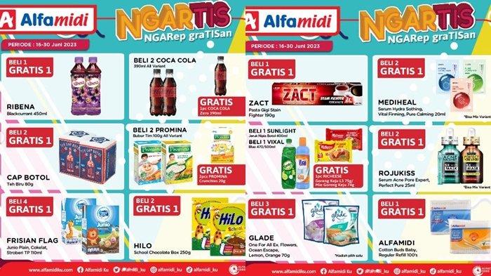 promo Alfamidi