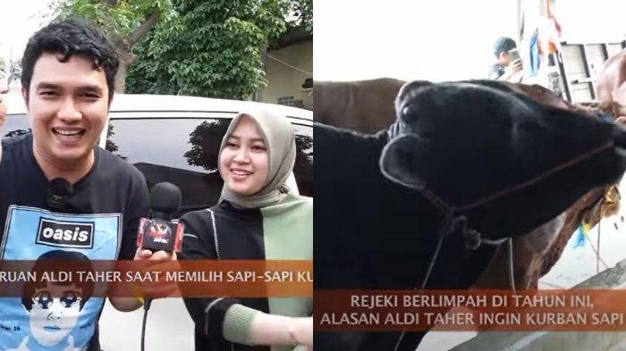 Aldi Taher siapkan sapi berukuran besar untuk rayakan kurban di Idul Adha 2023 (YouTube)
