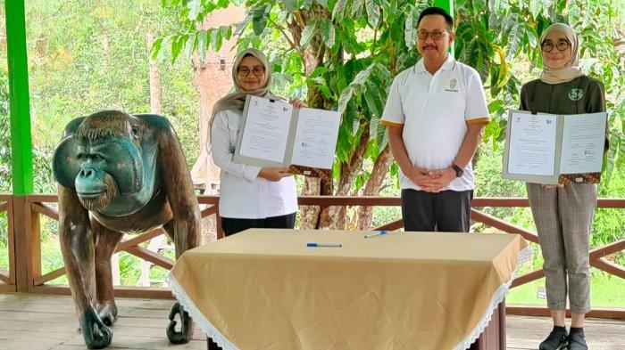 Otorita Ibukota Negara, menjalin kerja sama beberapa Organisasi hingga Lembaga Swadaya Masyarakat (LSM) demi meningkatkan konservasi satwa di wilayah IKN Nusantara, Rabu (12/7/2023).