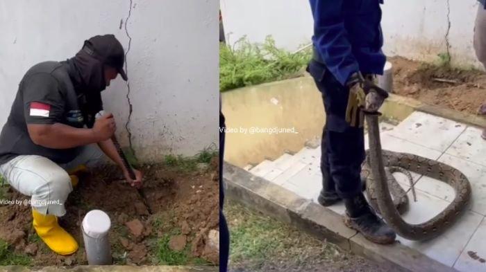 Personil Pemadam Kebakaran (Damkar) Balikpapan mengevakuasi ular yang berada dalam pipa pembuangan air