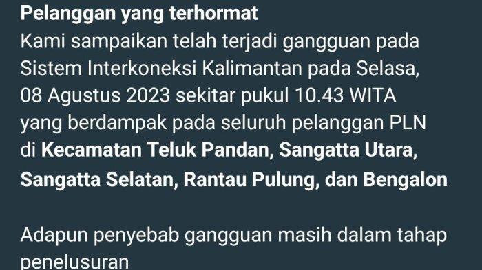 Viral detik-detik kukang Kalimantan tersengat listrik di Kutai Kartanegara