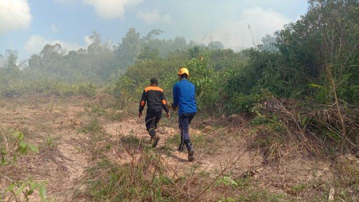 Ilustrasi kebakaran lahan di Kalimantan Timur. Kali ini Gubernur Kaltim, Isran Noor menetapkan status siaga bencana kekeringan, kebakaran hutan dan lahan atau karhutla, serta asap akibat karhutla, Rabu (23/8/2023). 