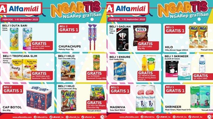 promo Alfamidi
