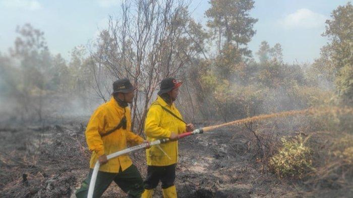 Ilustrasi kebakaran lahan di Kalimantan Timur.