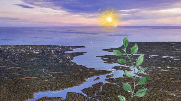 Ilustrasi visual Penajam Paser Utara, kawasan IKN Nusantara.