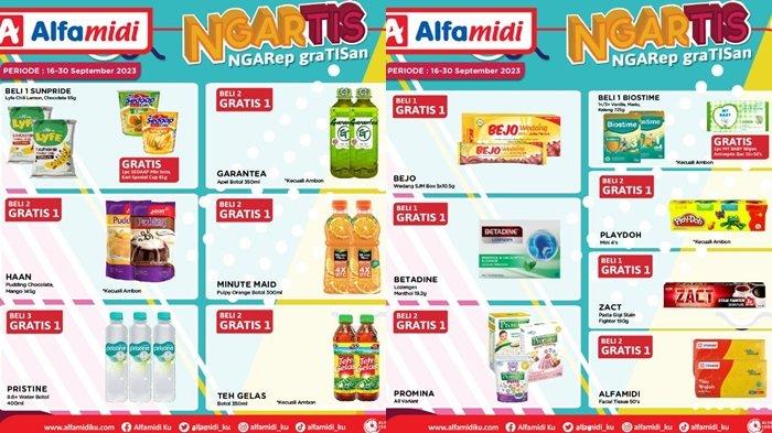 promo Alfamidi