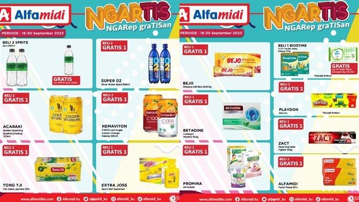 promo Alfamidi