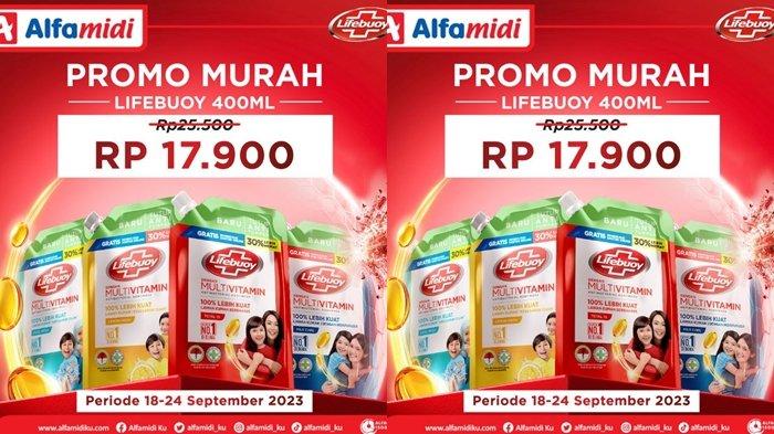promo Alfamidi