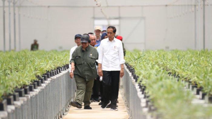 TINJAU PERSEMAIAN - Presiden Joko Widodo didampingi Menteri Lingkungan Hidup dan
Kehutanan (LHK), Siti Nurbaya Bakar dan rombongan meninjau Persemaian Mentawir di Sepaku,
Penajam Paser Utara, Kalimantan Timur pada Kamis (21/9/2023).