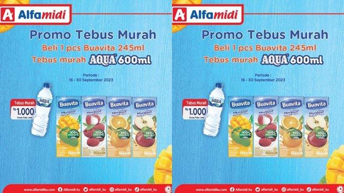 promo Alfamidi