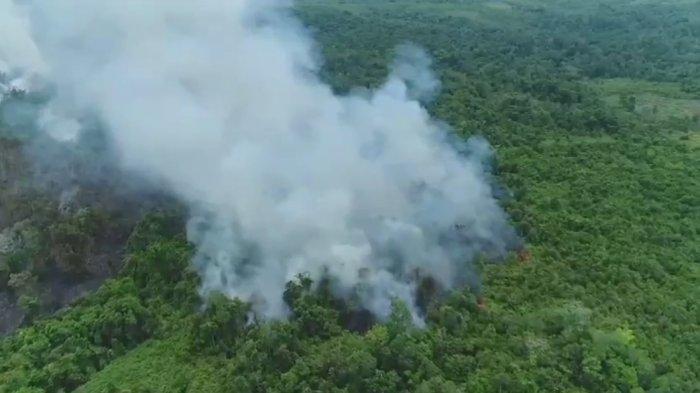Ilustrasi Kebakaran Hutan dan Lahan atau Karhutla di Kalimantan Timur. 