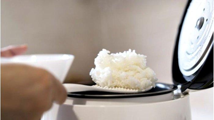 Pemerintah berencana membagikan alat masak berbasis listrik seperti rice cooker gratis kepada masyarakat guna mengurangi impor LPG.