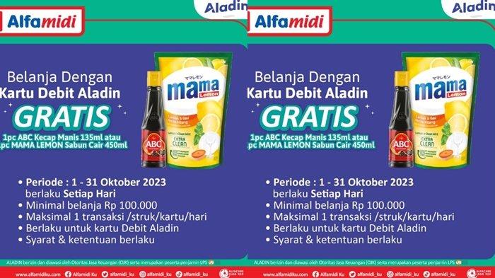 promo Alfamidi