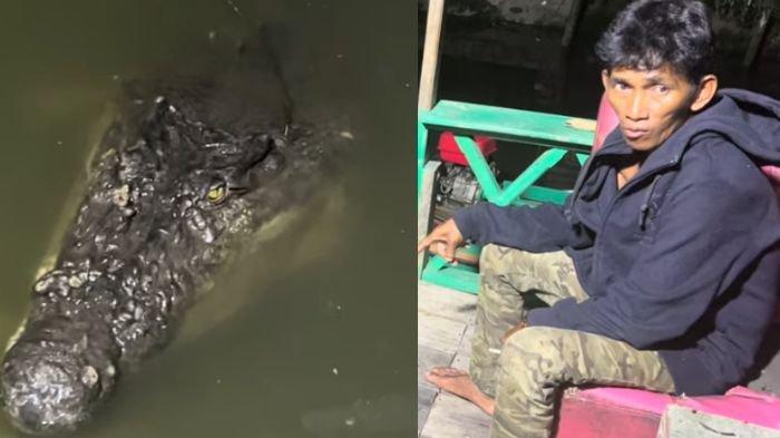 Buaya Ompong muncul di Sungai Guntung Bontang, Pak Ambo minta BKSDA juga tangkap si Ompong.