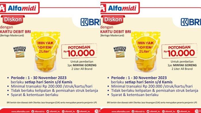 promo Alfamidi