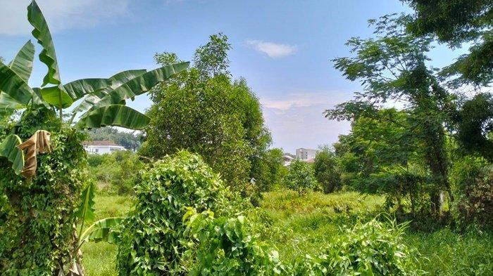 Lahan seluas 4,9 hektare milik Pemprov Kaltim di Jalan Ahmad Yani, Kecamatan Balikpapan Tengah. Lahan ini dulunya merupakan lokasi Pusat Kegiatan Islamiyah Balikpapan.