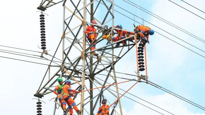 Agus Riyanto, seorang petugas pemeliharaan tower listrik di Kalimantan Timur, memiliki lebih dari 10 tahun pengalaman dan pernah memanjat tower setinggi 135 meter di Samarinda, menghadapi risiko seperti cuaca buruk, serangan burung, dan tawon.