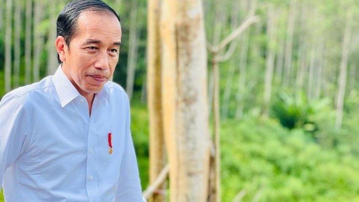 Presiden Joko Widodo di Titik Nol Ibu Kota Nusantara, Kabupaten Penajam Paser Utara, Provinsi Kalimantan Timur, Rabu (22/6/2022). 