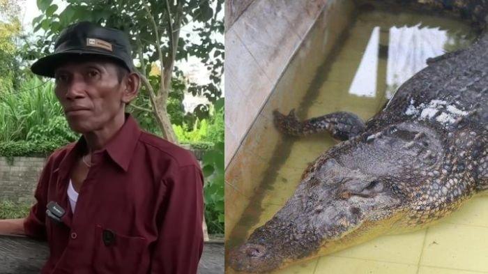 Pak Ambo dan Buaya Riska. Pak Ambo marah karena tak diberitahu soal pemindahan Buaya Riska ke Tabang Zoo Kukar, padahal sudah kunjungi Penangkaran Teritip Balikpapan.