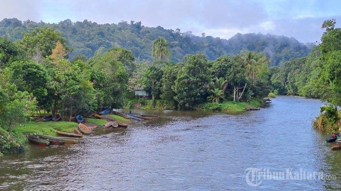 Penampakan Desa Long Sule, dikenal memiliki potensi sumber daya alam emas. Bila beruntung, warga yang mencari dalam rentang satu minggu bisa meraih 100 gram emas.