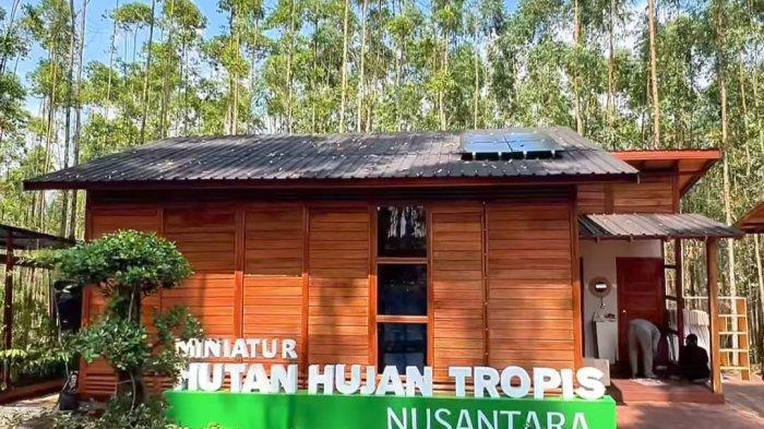 Ilustrasi miniatur hutan hujan tropis di IKN Nusantara, Kalimantan Timur.