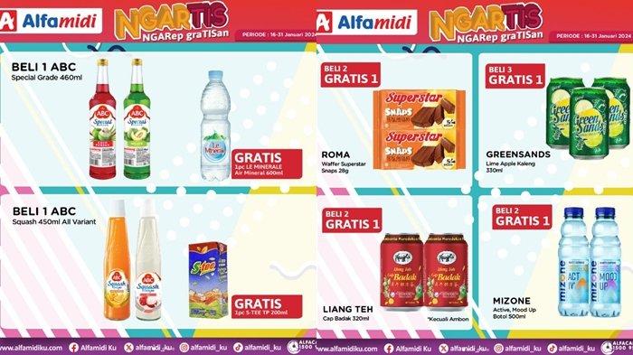 promo Alfamidi