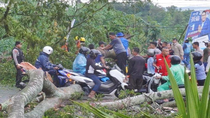 POHON TUMBANG - Hujan deras disertai angin kencang, membuat pohon yang ada di Jalan Soekarno Hatta Km 7, dekat gerbang Grand City Balikpapan tumbang, jatuh menimpa jalan raya, Rabu (31/1/2024) sore.