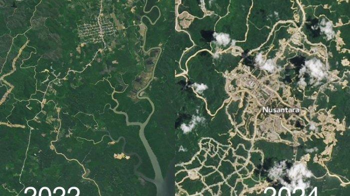 IKN NUSANTARA - Inilah potret penampakan kondisi hutan di IKN Nusantara yang terekam Satelit NASA dan menjadi sorotan media asing.