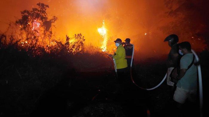 KEBAKARAN SAWIT KUKAR - Kebakaran hutan dan lahan (karhutla) terjadi di area perkebunan kelapa sawit. Tepatnya di Desa Bukit Jering, Kecamatan Muara Kaman, Kabupaten Kutai Kartanegara, Kalimantan Timur pada Kamis (29/2/2024).
