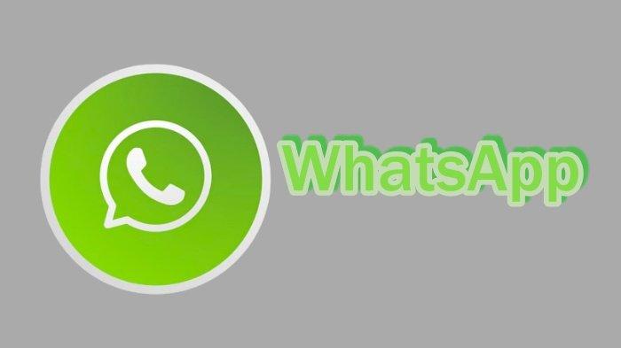 KONTAK WHATSAPP YANG SERING DIHUBUNGI - Ilustrasi. Cara mengetahui kontak yang sering dihubungi pasangan di WhatsApp, tanpa aplikasi tambahan.
