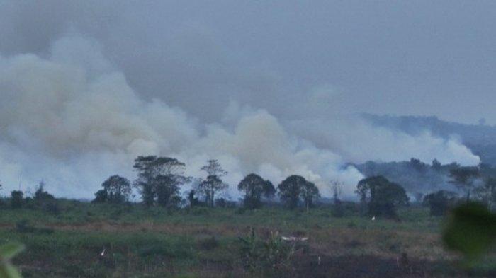 Ilustrasi kebakaran hutan dan lahan atau karhutla di Samarinda, Kalimantan Timur.