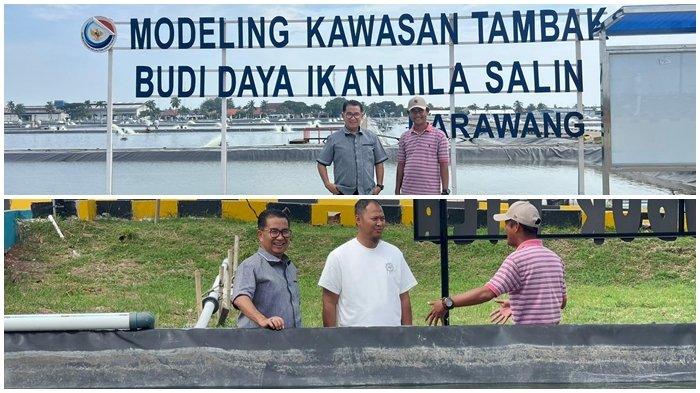 TAMBAK IKAN BALIKPAPAN - Pj Gubernur Kaltim Akmal Malik saat mengunjungi BLUPBB Budidaya Ikan Nila Salin di Kabupaten Karawang Provinsi Jawa Barat, Senin (13/5/2024). Halo Wali Kota Balikpapan. Siapkan lahan 100 hektare untuk budidaya ikan nila sebagai langkah upaya untuk ketahanan pangan dan pelayanan beranda IKN Nusantara. 